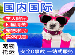 荆州沙市航空托运国际宠物托运 【国